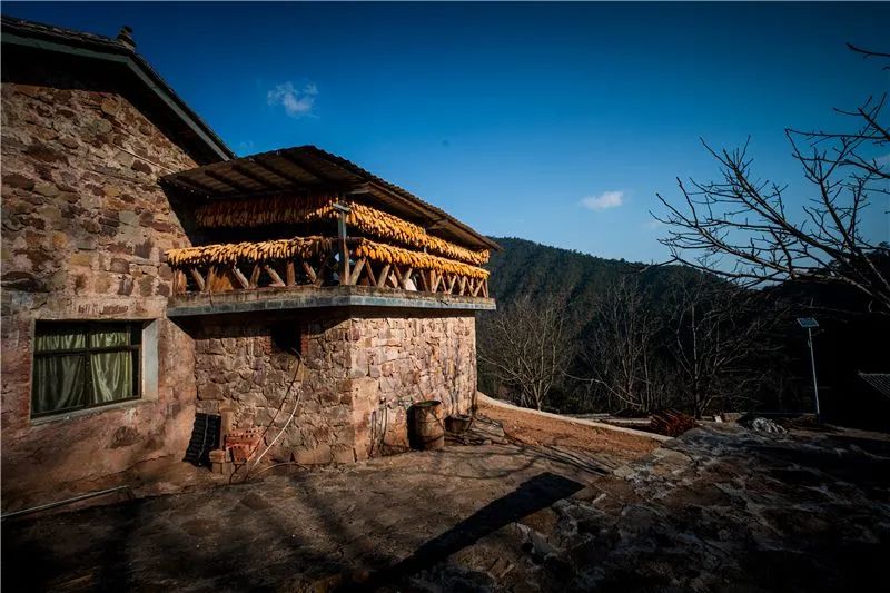 普洱日报(微信)