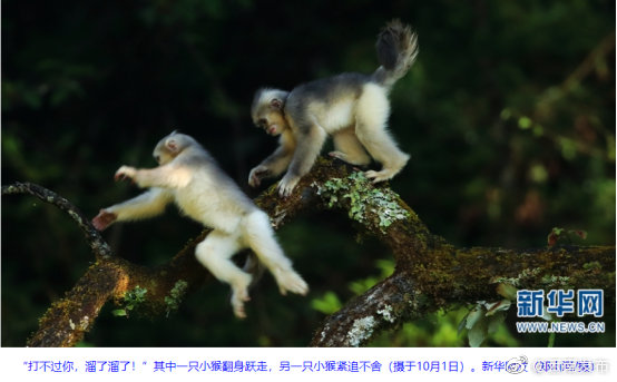 “云南发布”微博