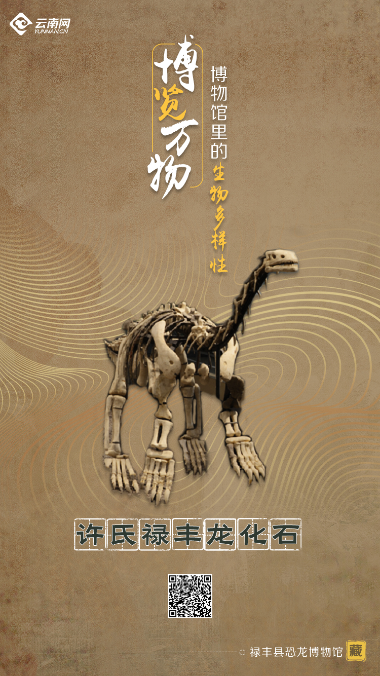 玉溪发布(微信)