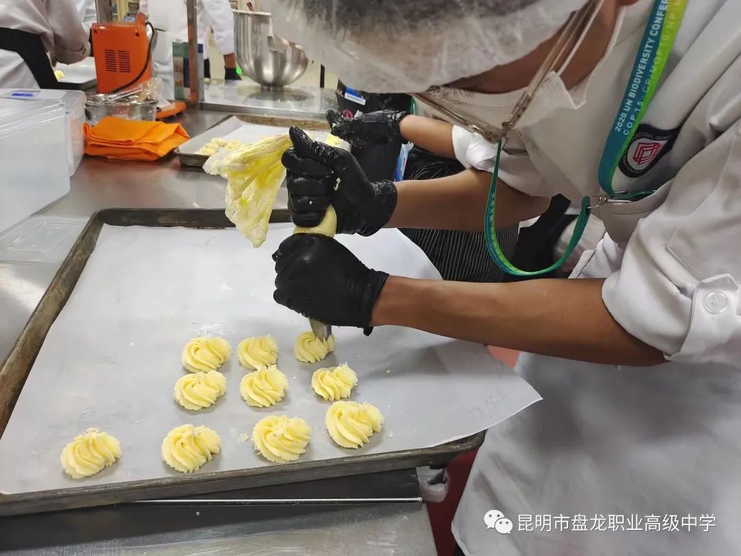盘龙教育(微信)