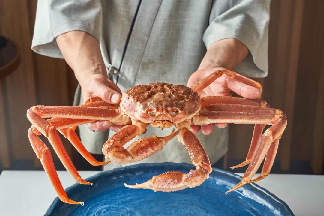 春城晚报
