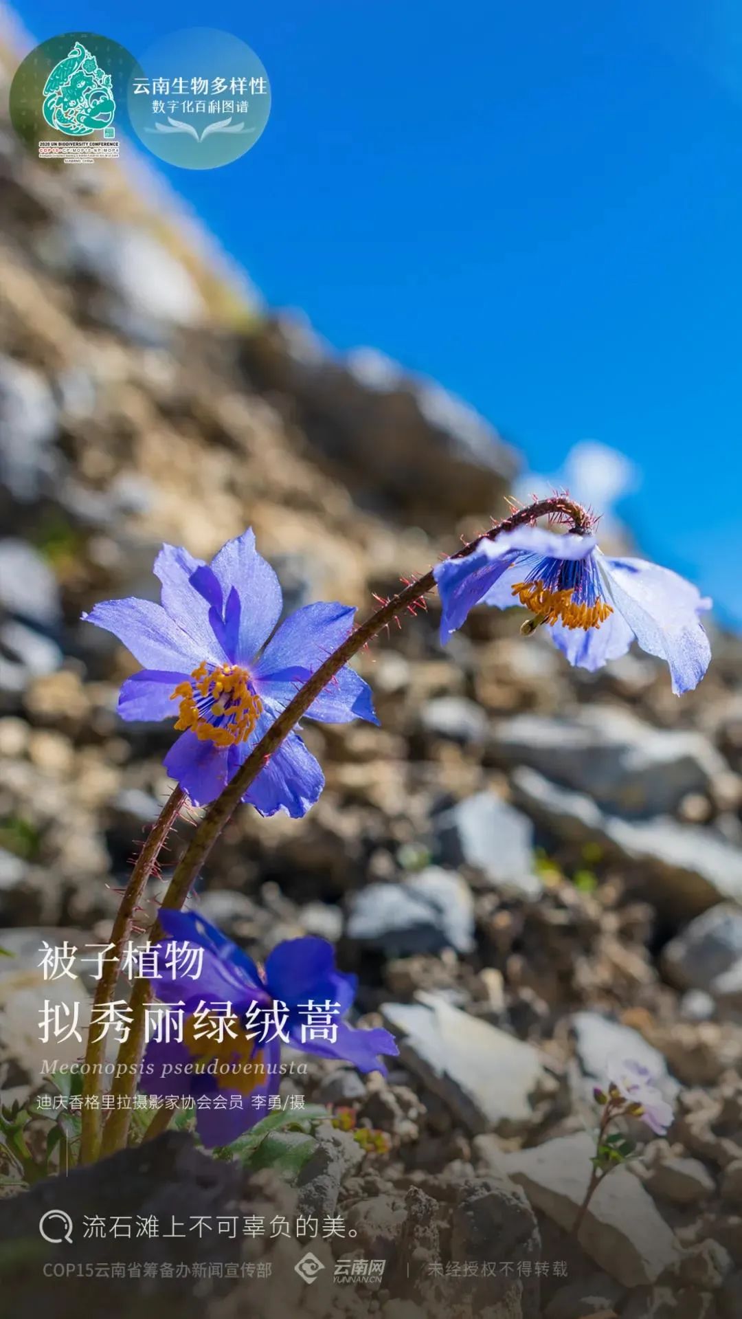 云南省人民政府网