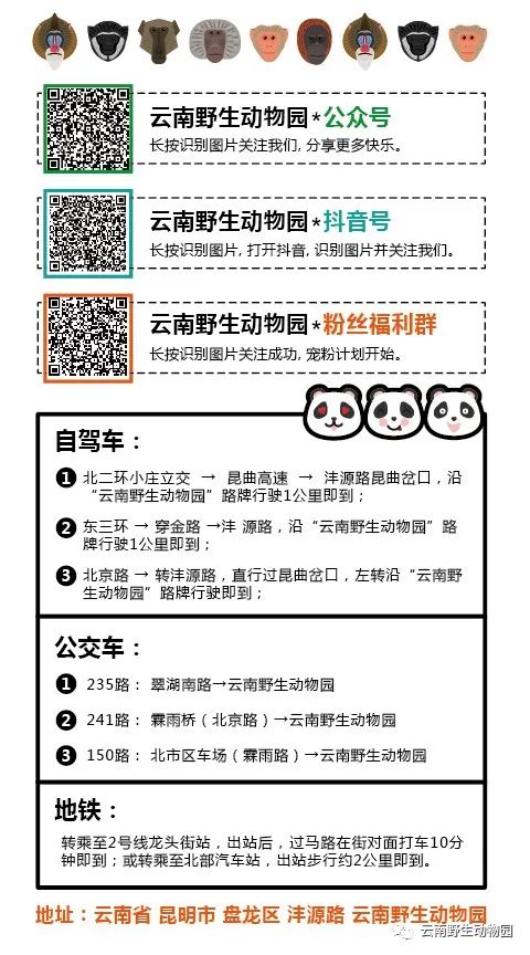 云南野生动物园(微信)