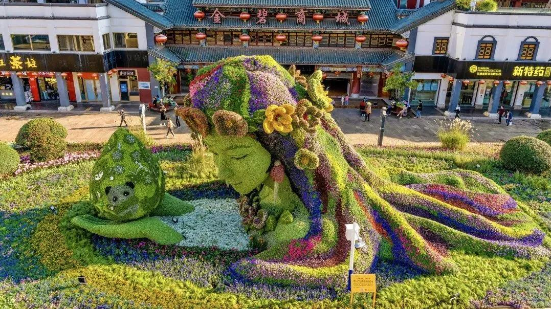 春城晚报(微信)