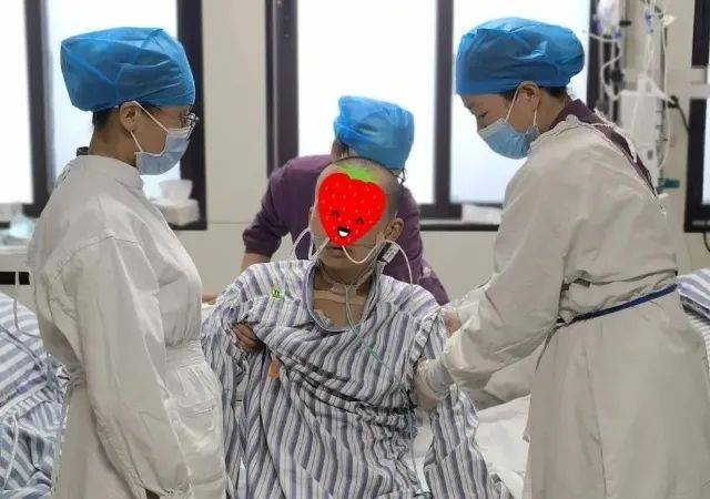 春城晚报(微信)