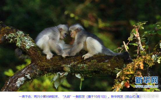 “云南发布”微博