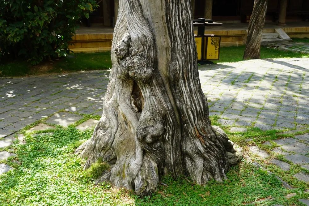 红河文旅(微信)