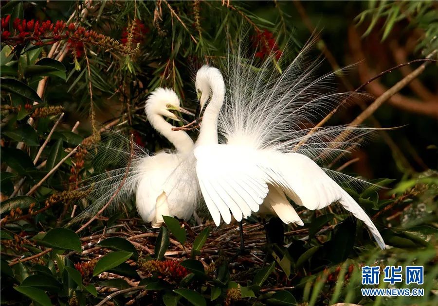 云南广播电视台(微信)