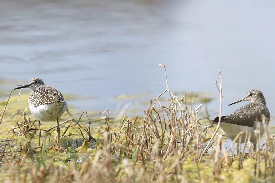 云南广播电视台(微信)