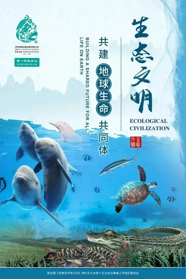 昆明铁路(微信)