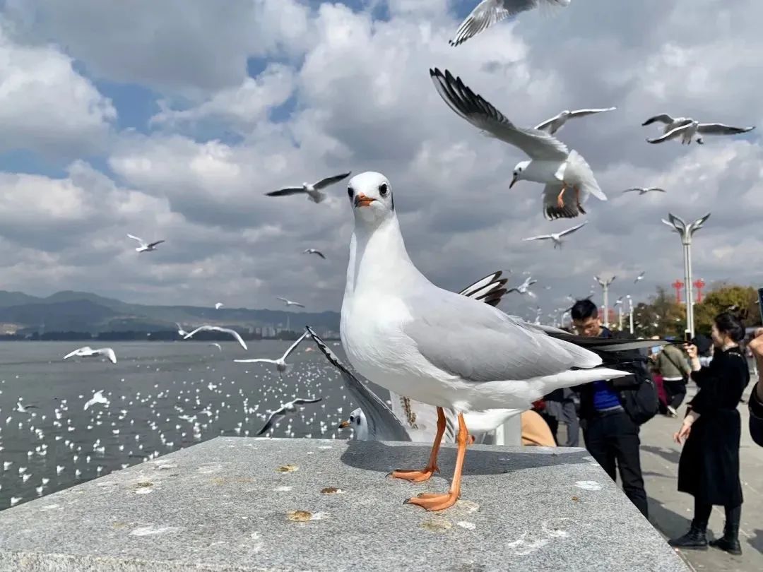 昆明铁路(微信)