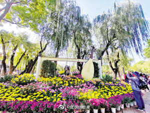 昆明信息港微博