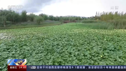 春城晚报(微信)