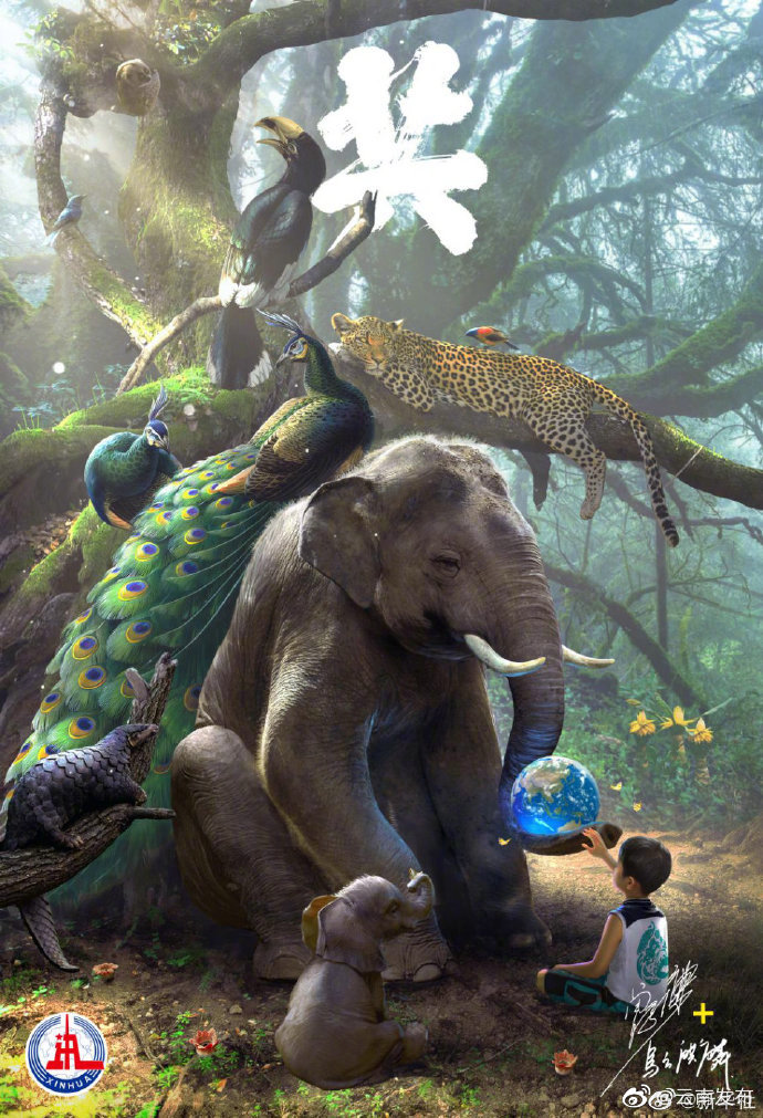 万物《共》生 命运《共》途