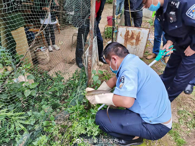 “昆明五华发布”微博