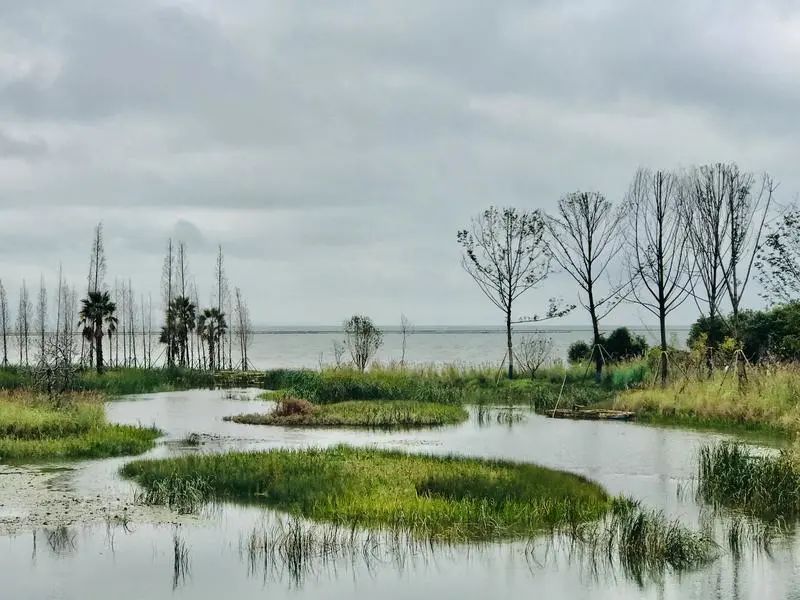 盘龙共青团(微信)