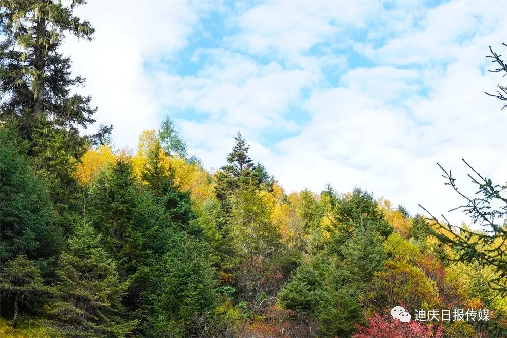 迪庆日报传媒(微信)