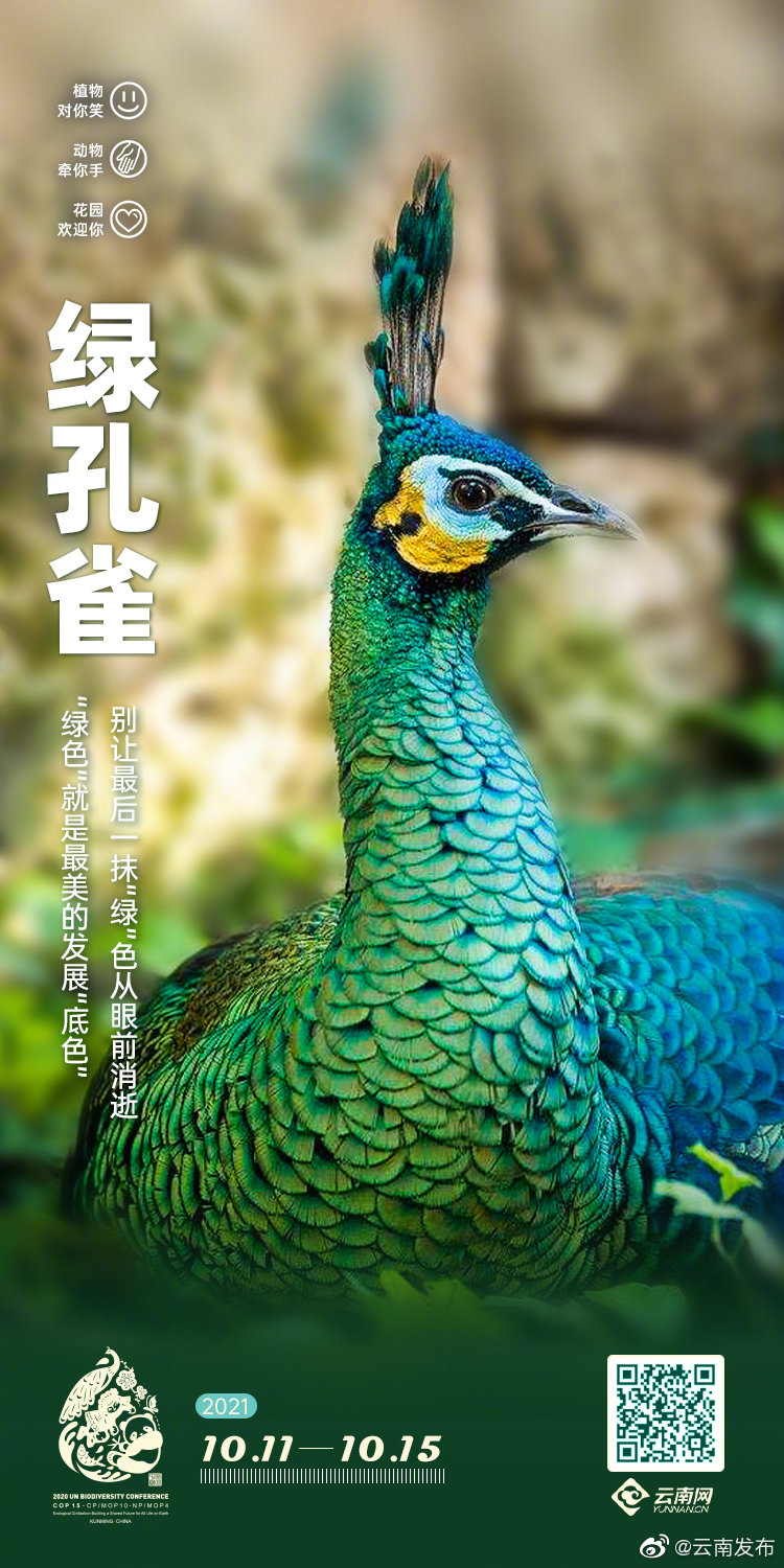 “云南发布”微博