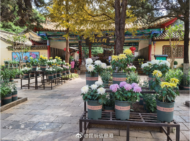 昆明信息港微博