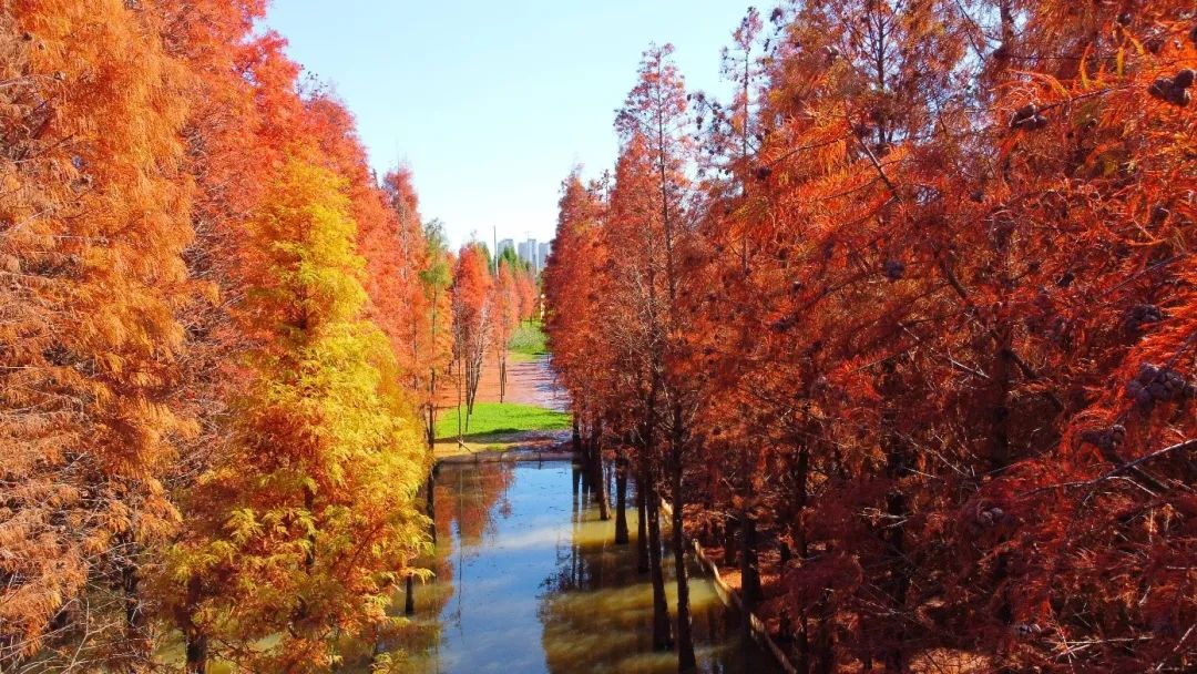 昆明滇池国家旅游度假区管理委员会(微信)