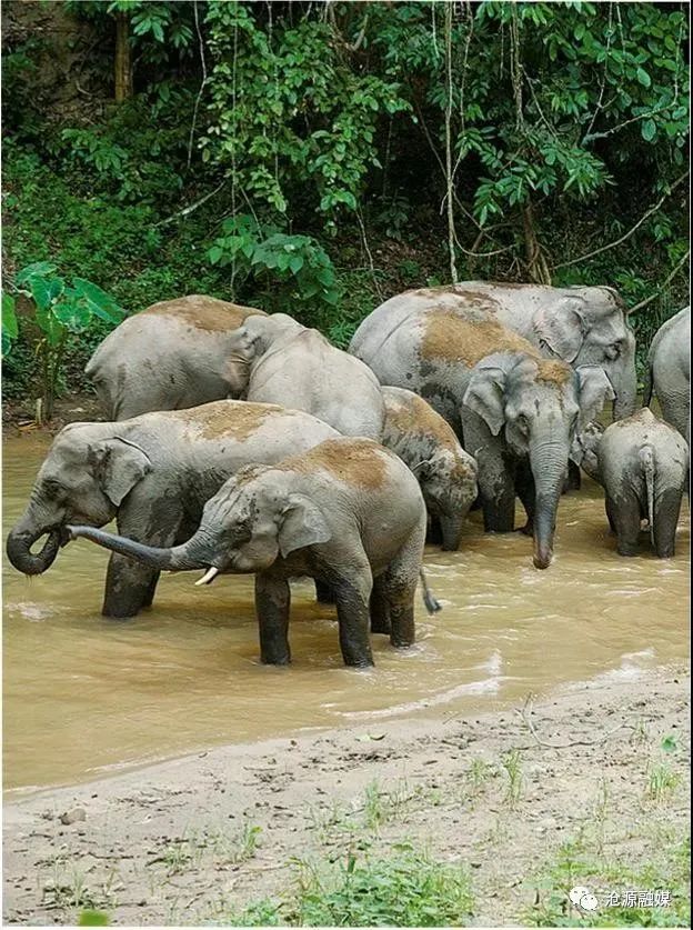 云南广播电视台(微信)