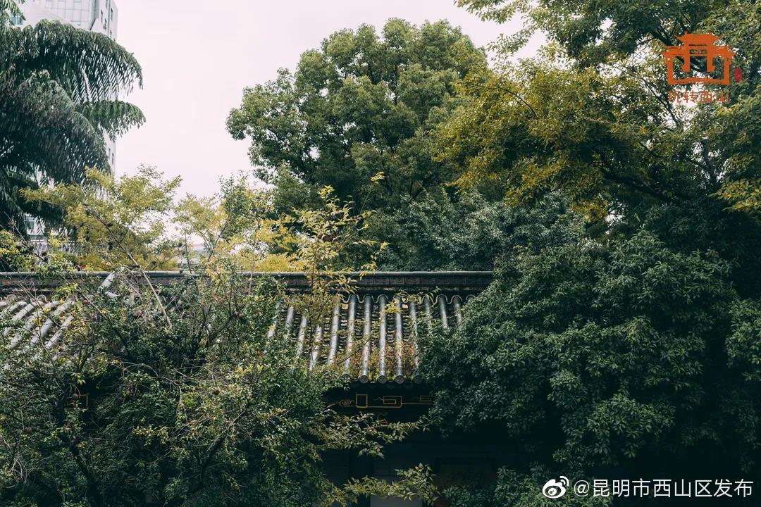“昆明市西山区发布”微博