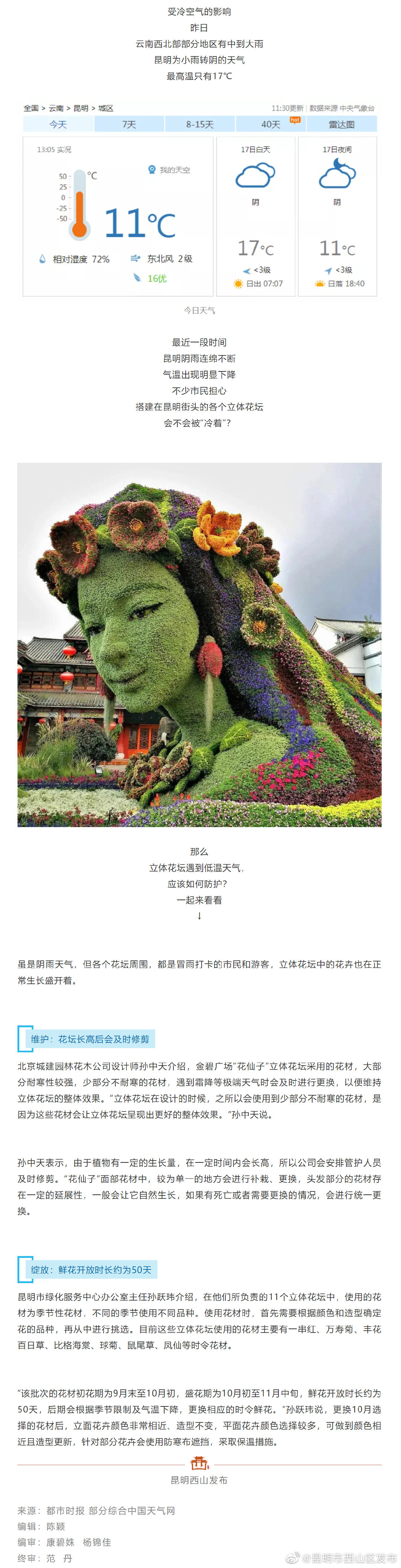 昆明连续阴雨 “花仙子”会被“冻坏”吗？设计师说…