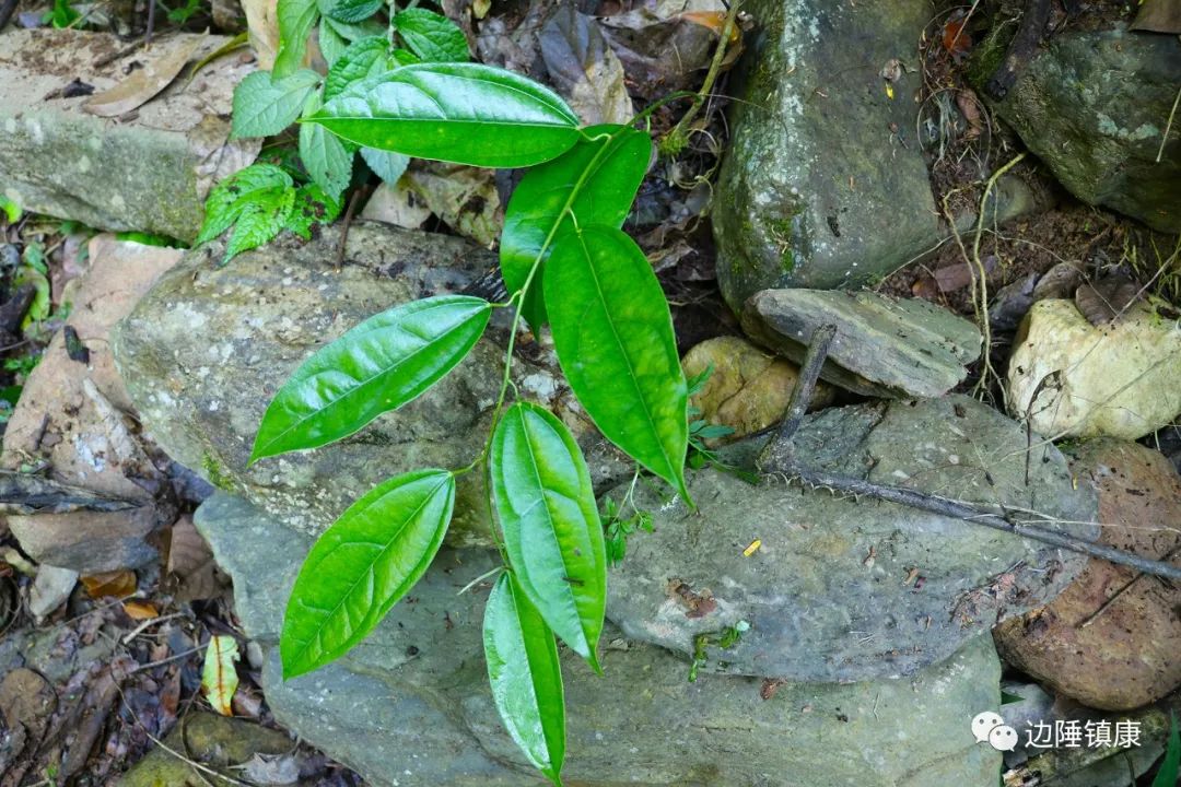 云南广播电视台(微信)