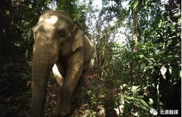 云南广播电视台(微信)