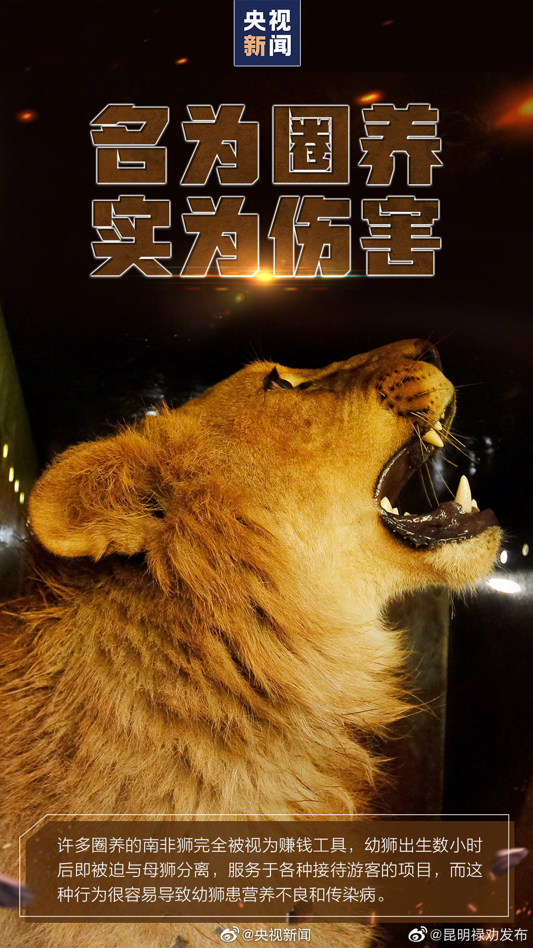 昆明禄劝发布
