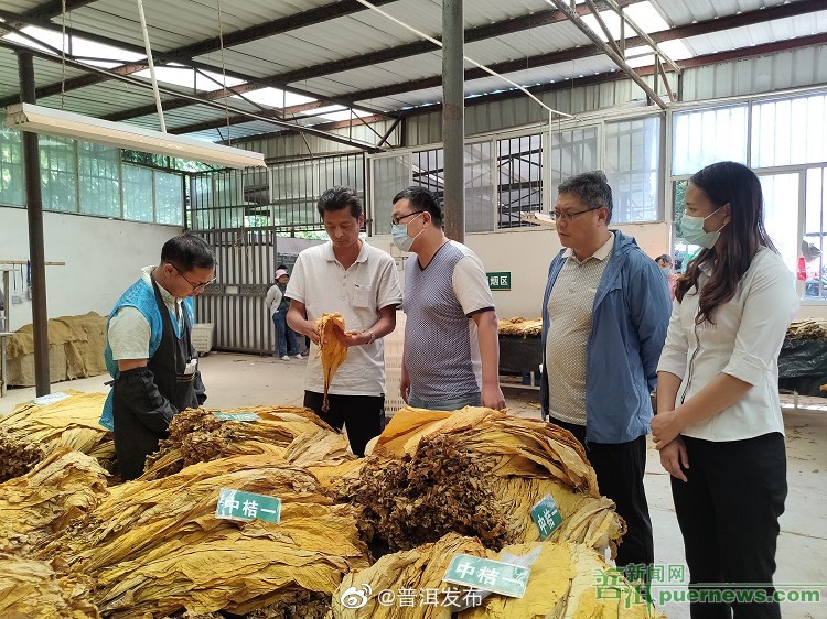 “金叶子”变“金票子”