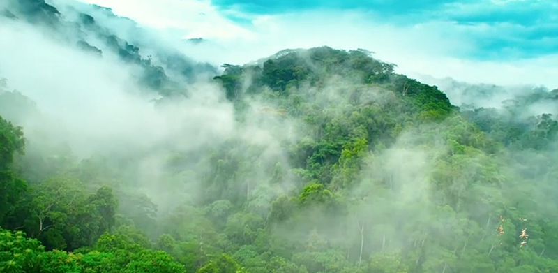 云南广播电视台(微信)