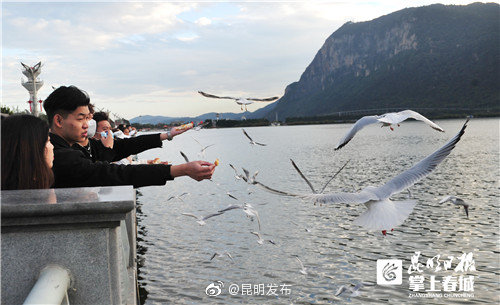 “昆明发布”微博