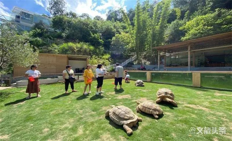 红河文旅(微信)
