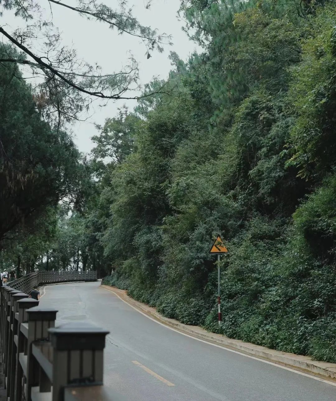 春城晚报(微信)