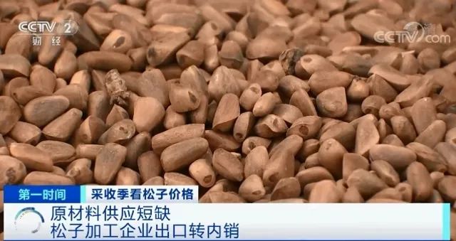 春城晚报(微信)