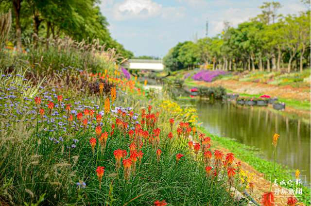 春城晚报(微信)