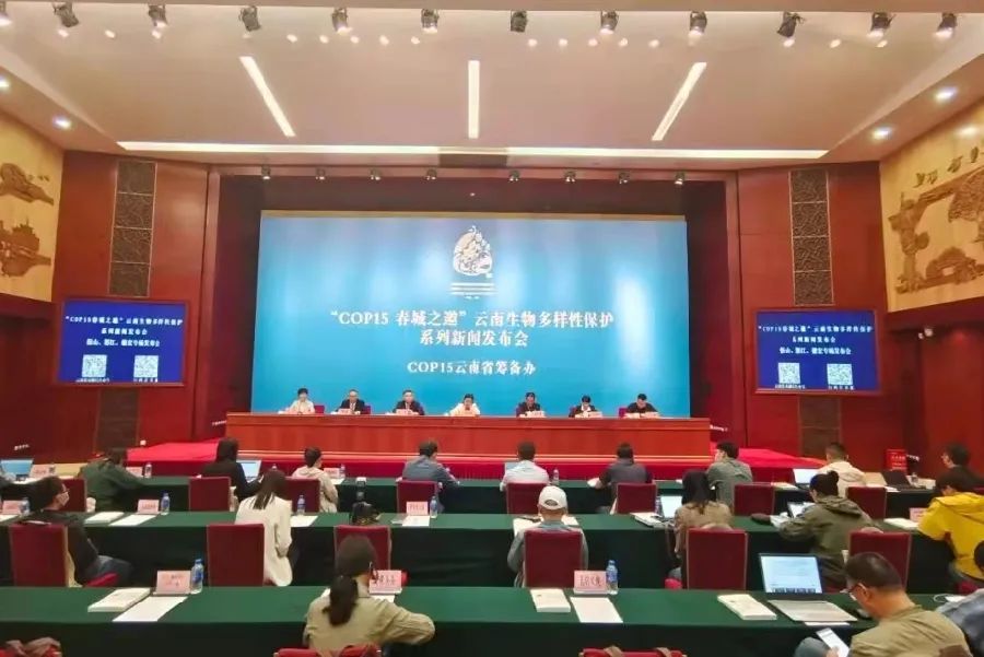 保山新闻网(微信)
