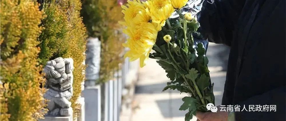 云南省人民政府网