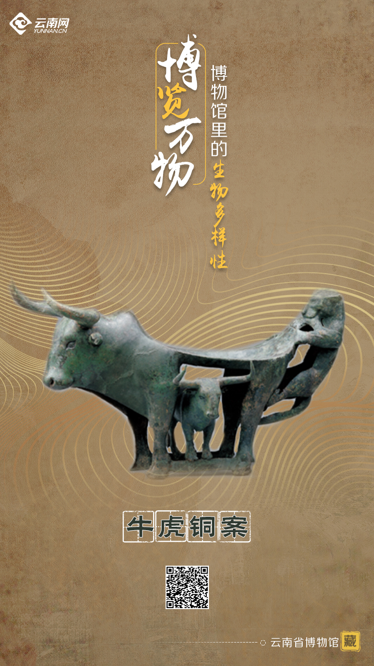 玉溪发布(微信)