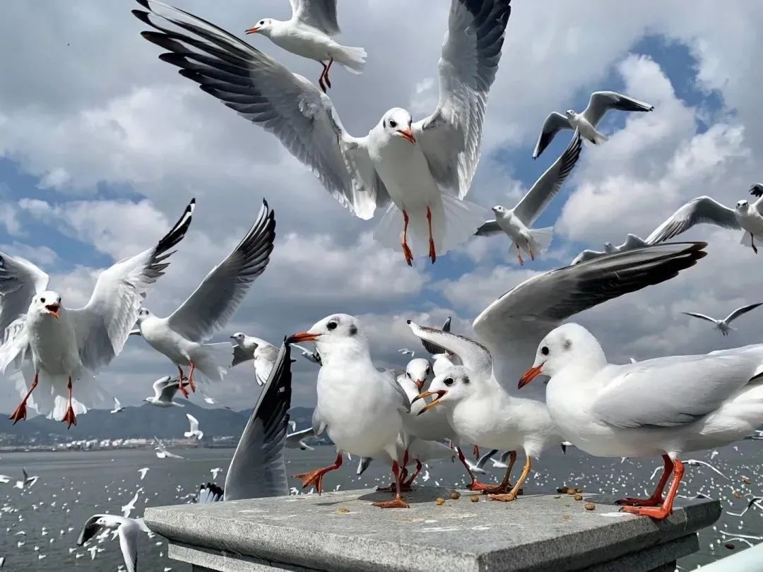 昆明铁路(微信)