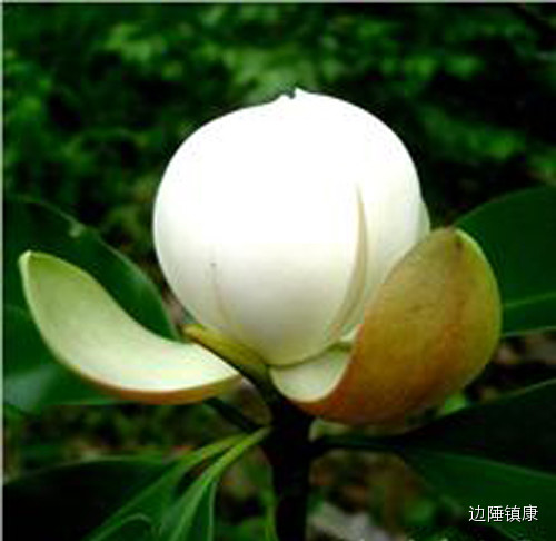 云南广播电视台(微信)