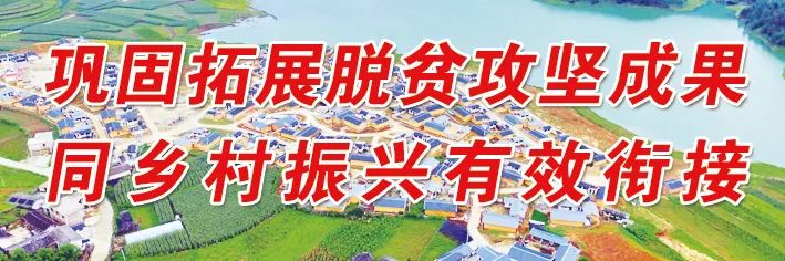 丽江日报(微信)