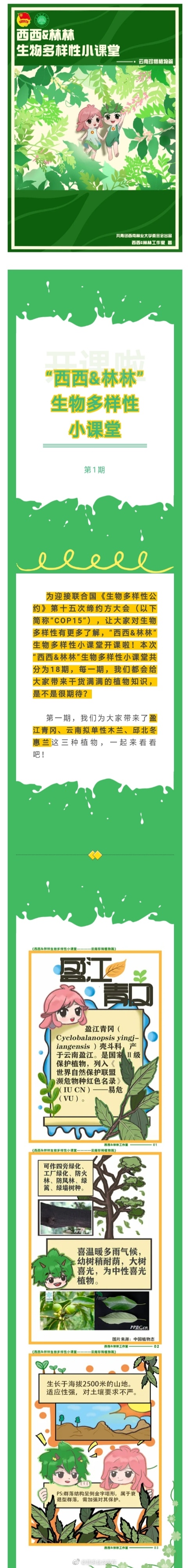 昆明盘龙发布