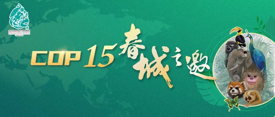 玉溪发布(微信)