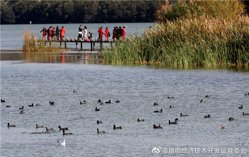 “昆明经济技术开发区管委会”微博