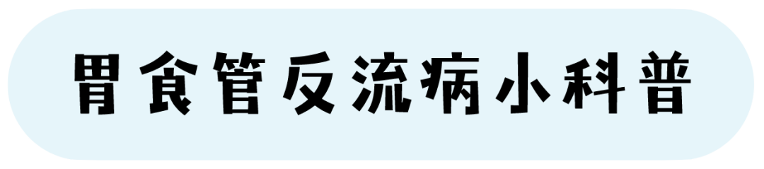 掌上春城(微信)