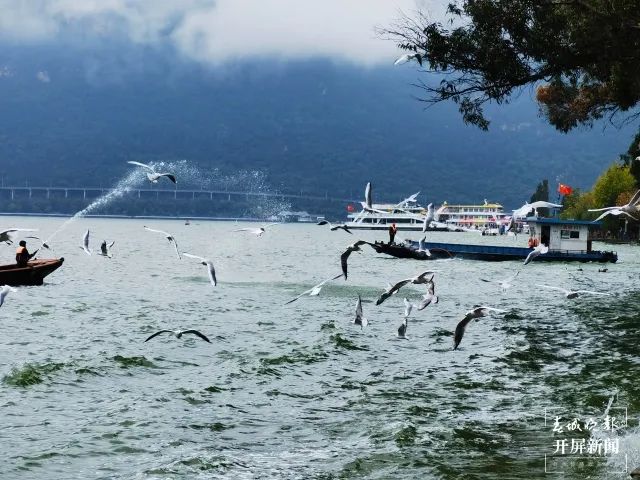 昆明滇池国家旅游度假区管理委员会(微信)