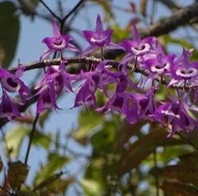 云南广播电视台(微信)