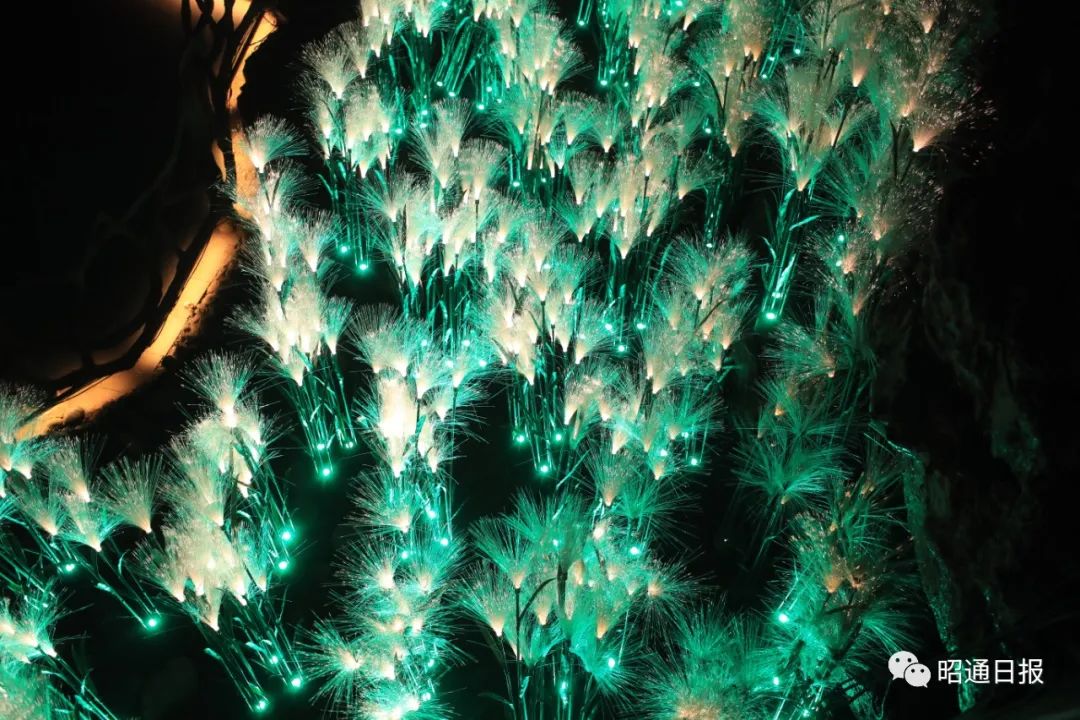 昭通日报(微信)